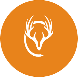 Stag logo in orange circle